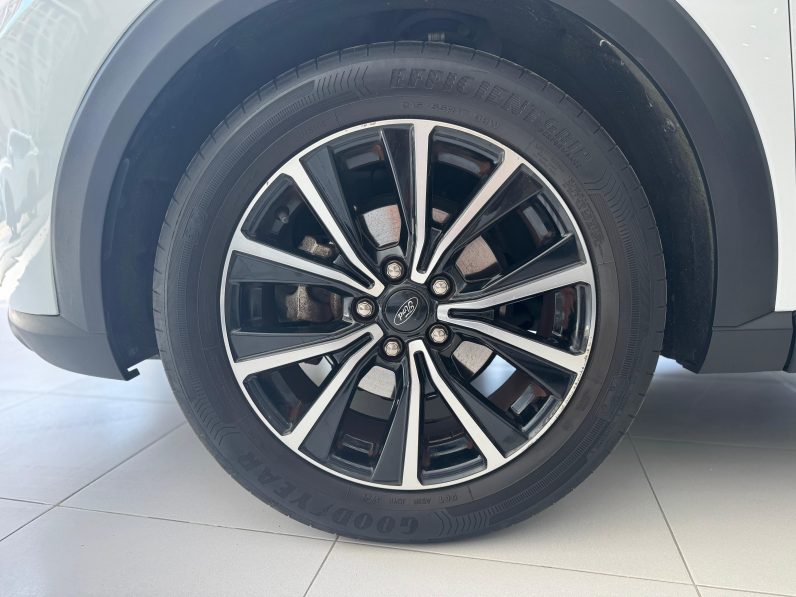 
								FORD Puma 1.0 EcoBoost Titanium Auto completo									