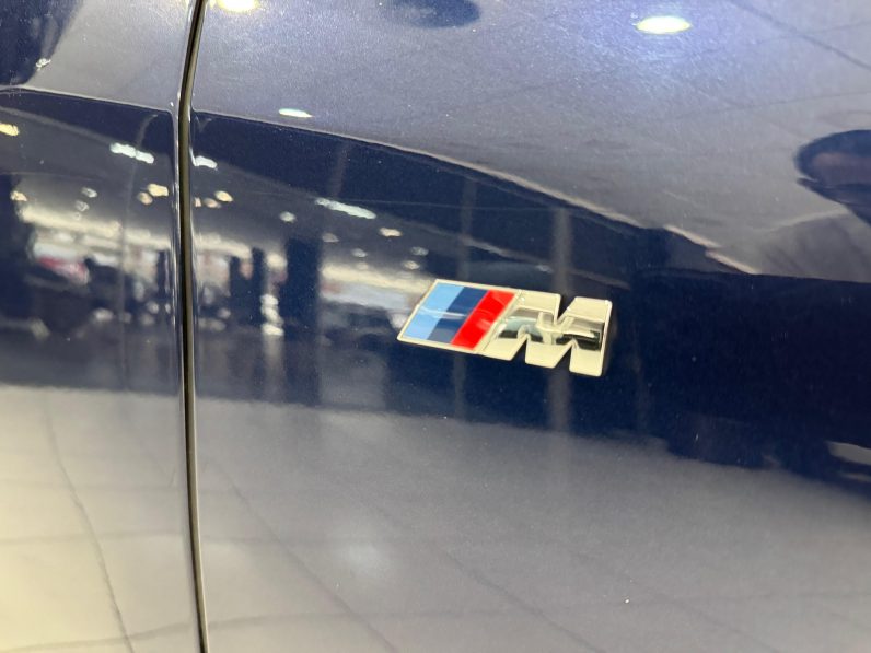 
								BMW X2 sDrive18d M completo									