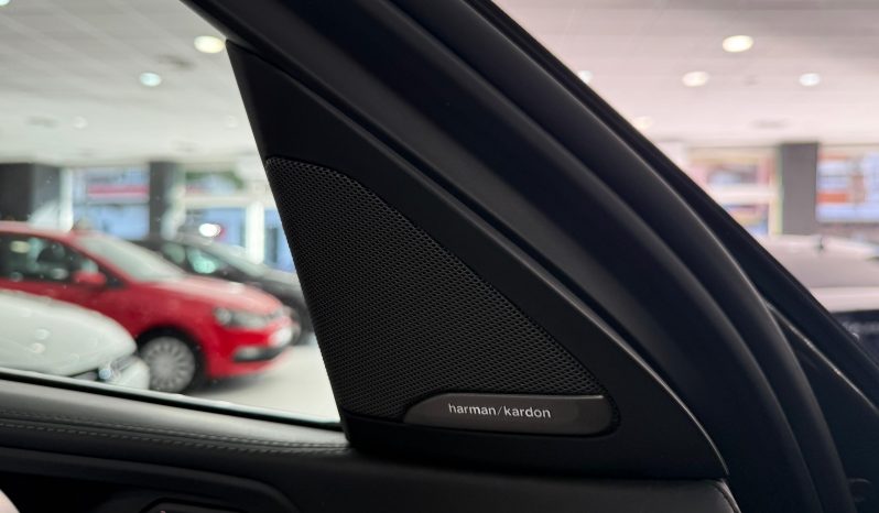 
								BMW X6 xDrive30d completo									